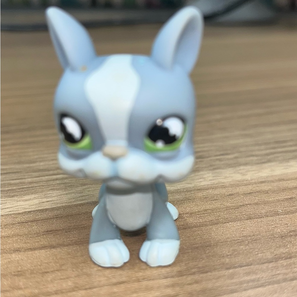 Littlest Pet Shop (LPS) Boston Terrier figurine, specifically #857